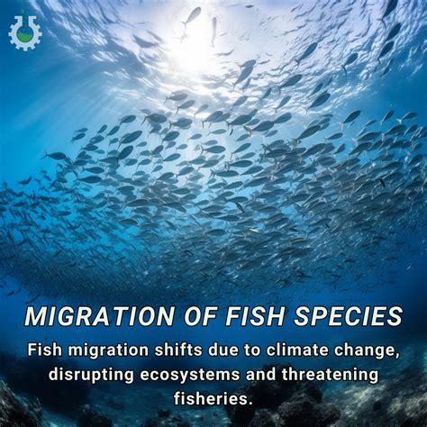 fish migration|Migration .